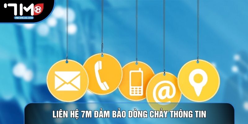 Liên hệ 7M đảm bảo dòng chảy thông tin Liên hệ 7M đảm bảo dòng chảy thông tin